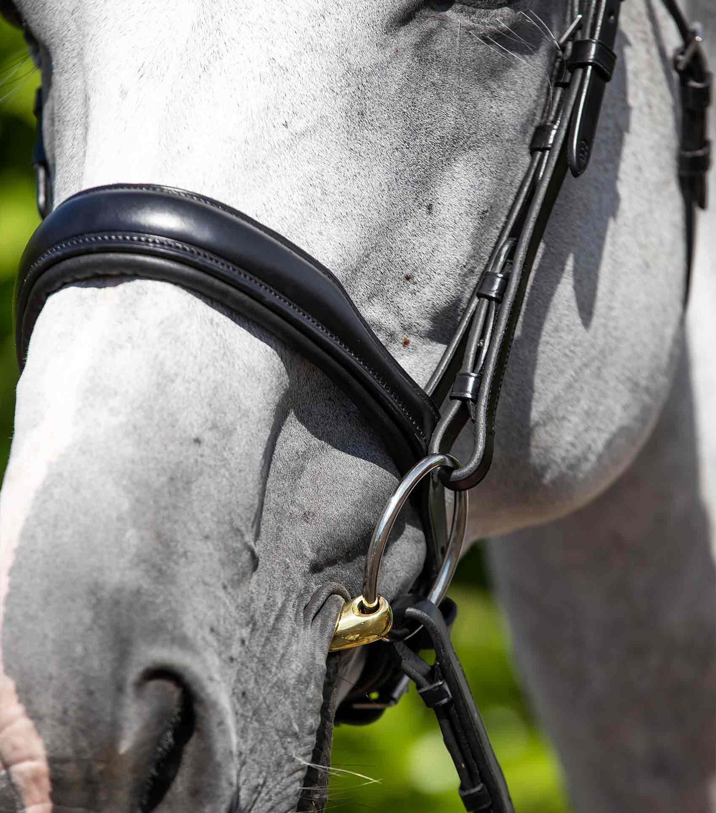 Premier Equine Verdura Anatomic Cavesson Noseband Black