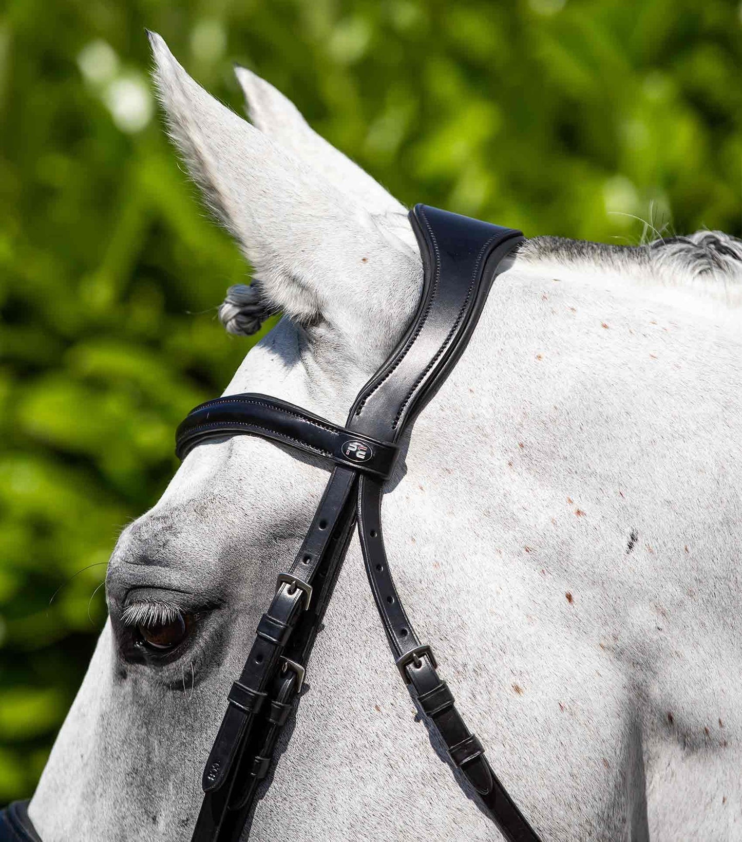 Premier Equine Verdura Anatomic Snaffle Bridle - N P Equestrian & Pet Supplies Ltd 