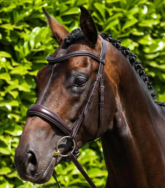 Premier Equine Verdura Anatomic Snaffle Bridle Brown - N P Equestrian & Pet Supplies Ltd 