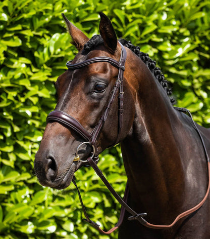 Premier Equine Liscio Plain Shaped Leather Browband Brown - N P Equestrian & Pet Supplies Ltd 