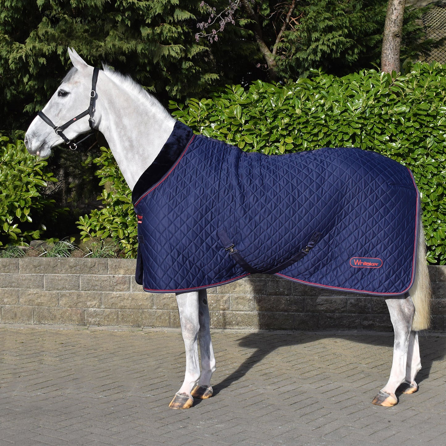 Whitaker R472 Rastrick V2 100g Cosy Rug Navy