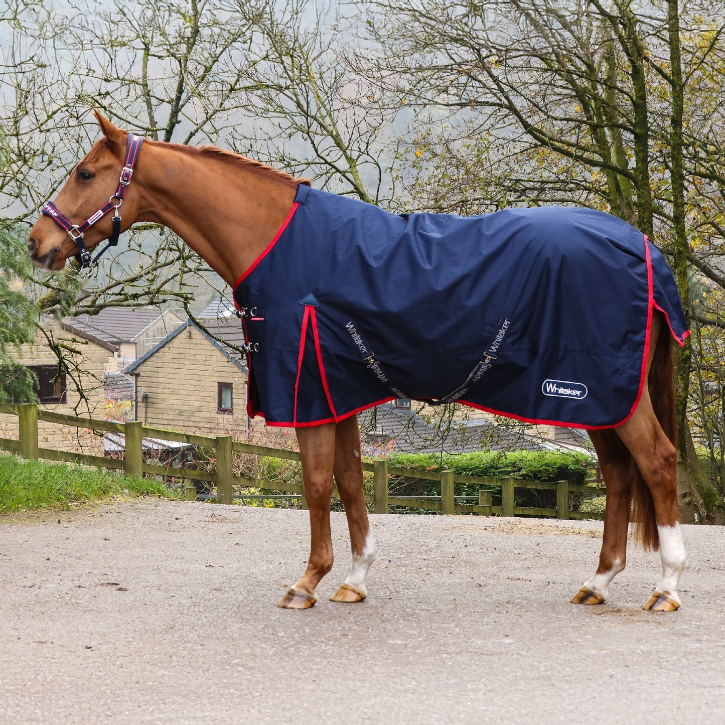 Whitaker R442 Rastrick V2 50g Standard Turnout Rug Navy