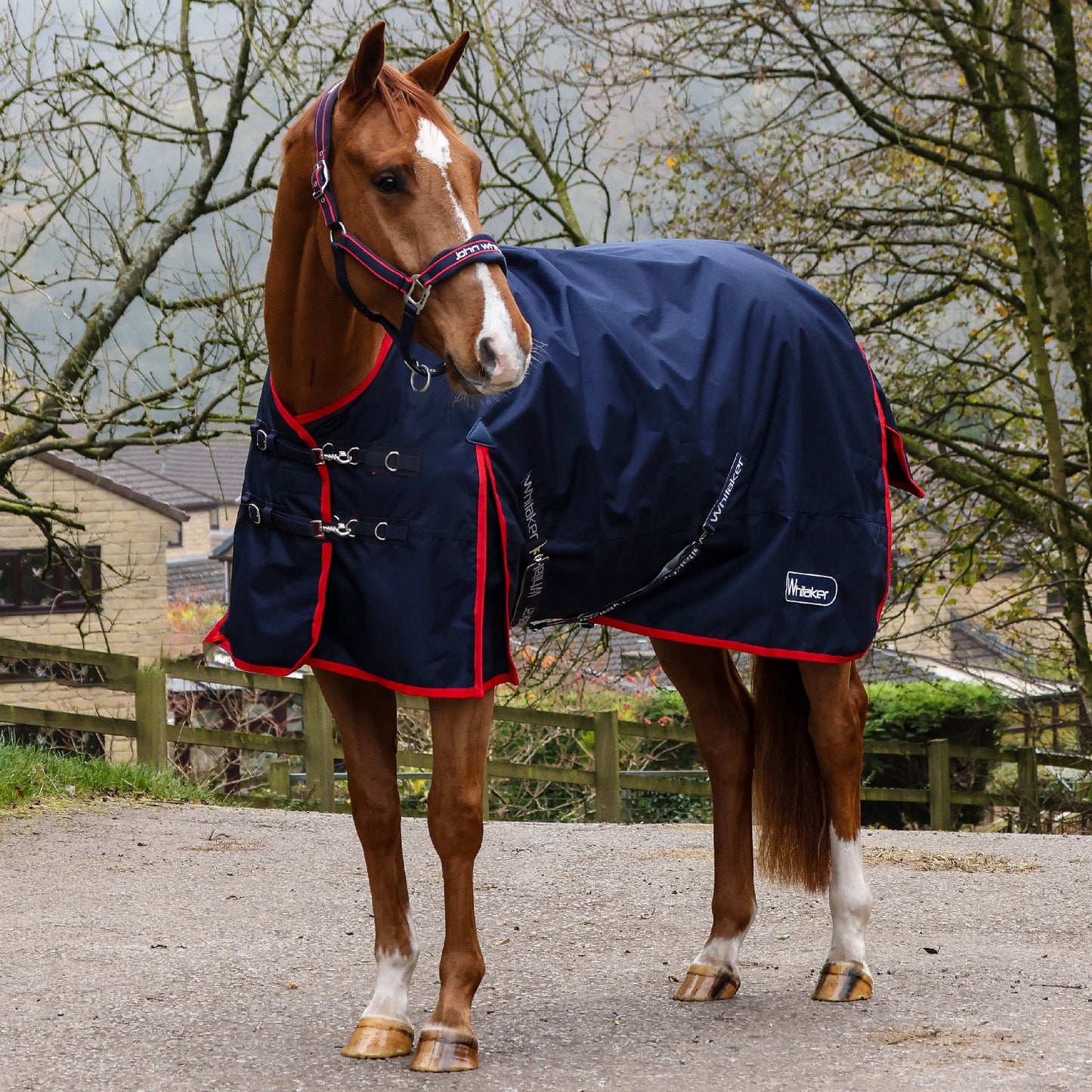 Whitaker R442 Rastrick V2 50g Standard Turnout Rug Navy