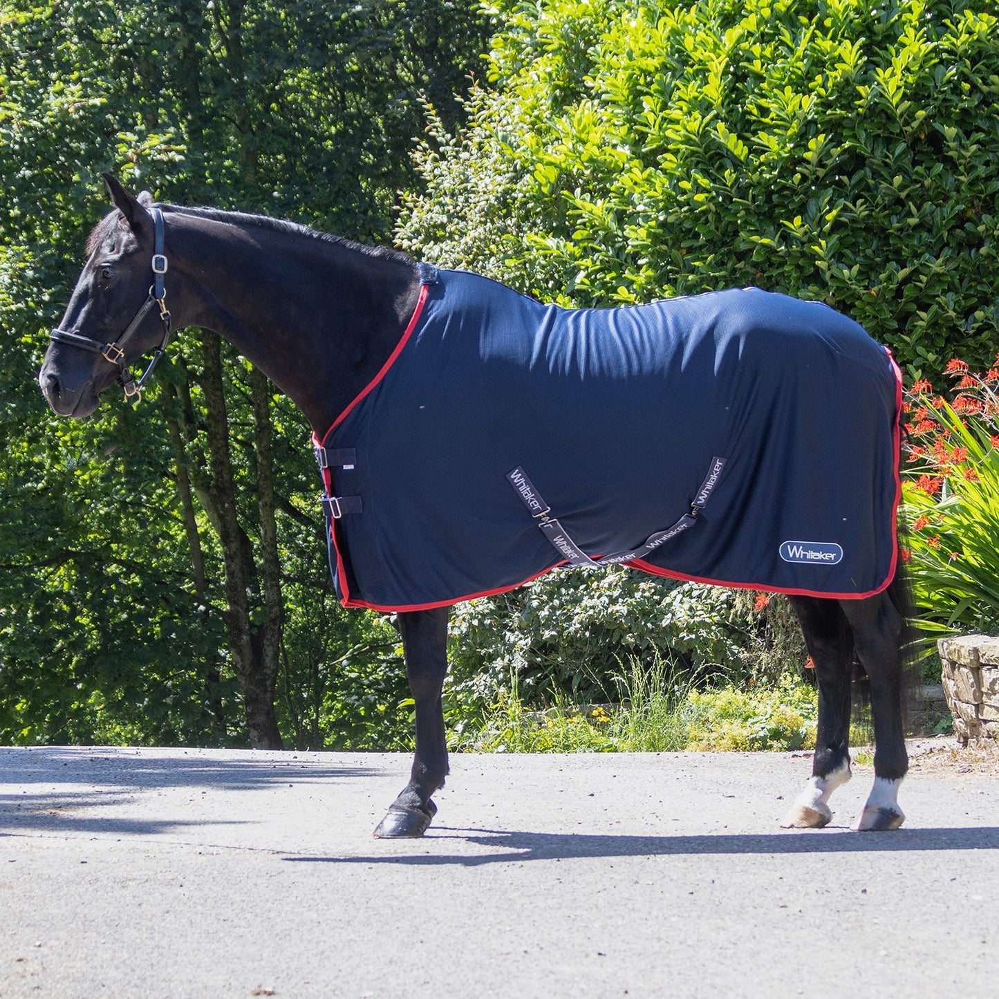 Whitaker R475 Rastrick V2 Tech Cooler Rug Navy
