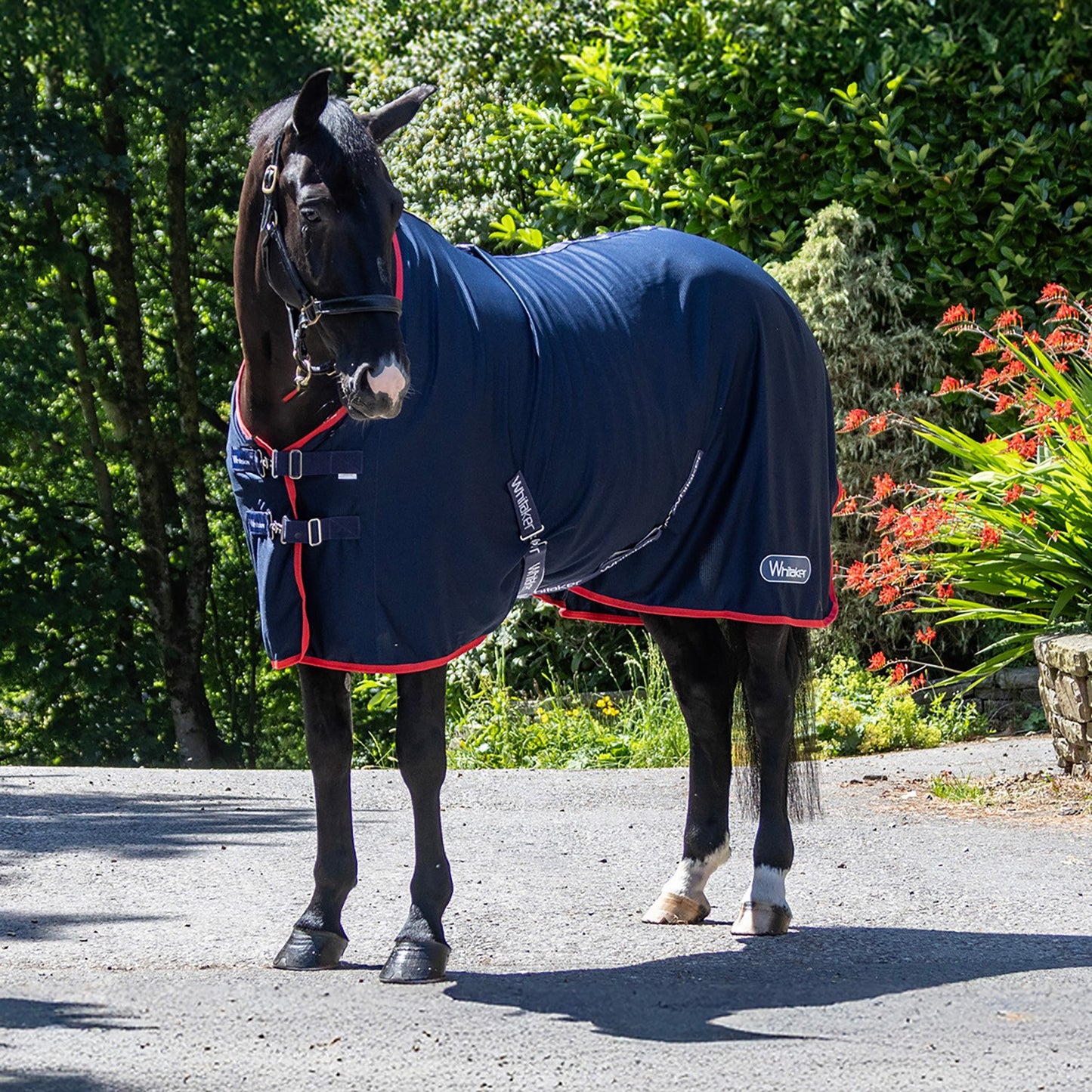 Whitaker R475 Rastrick V2 Tech Cooler Rug Navy