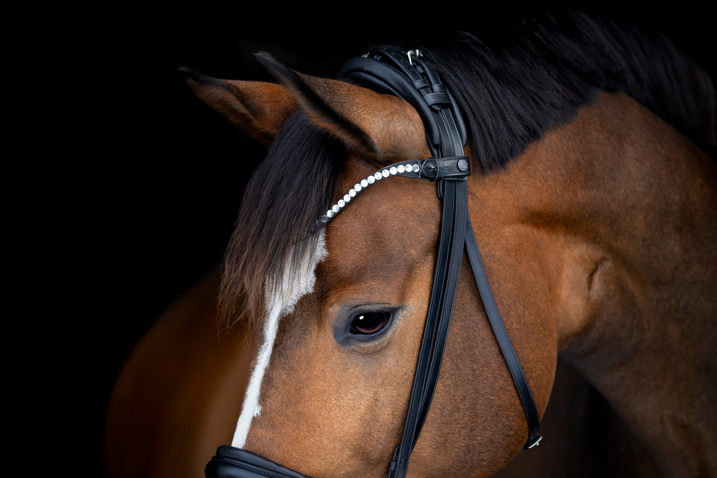 Catago Arlington Bridle - Black