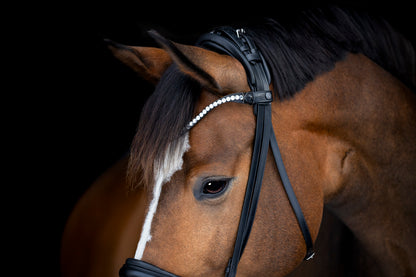 Catago Arlington Bridle - Black