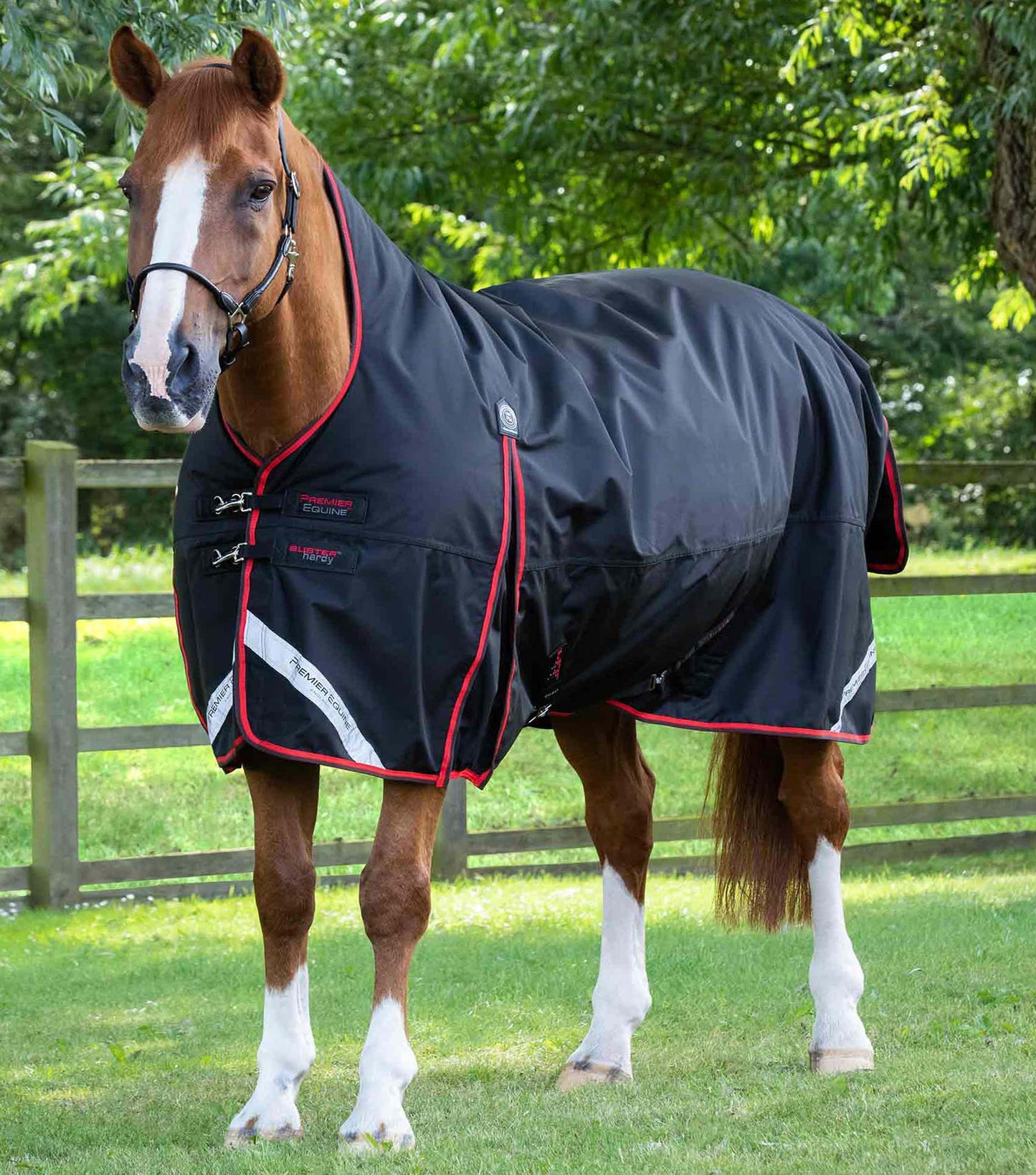 Premier Equine Buster Hardy 400g Half Neck Turnout Rug Black - N P Equestrian & Pet Supplies Ltd