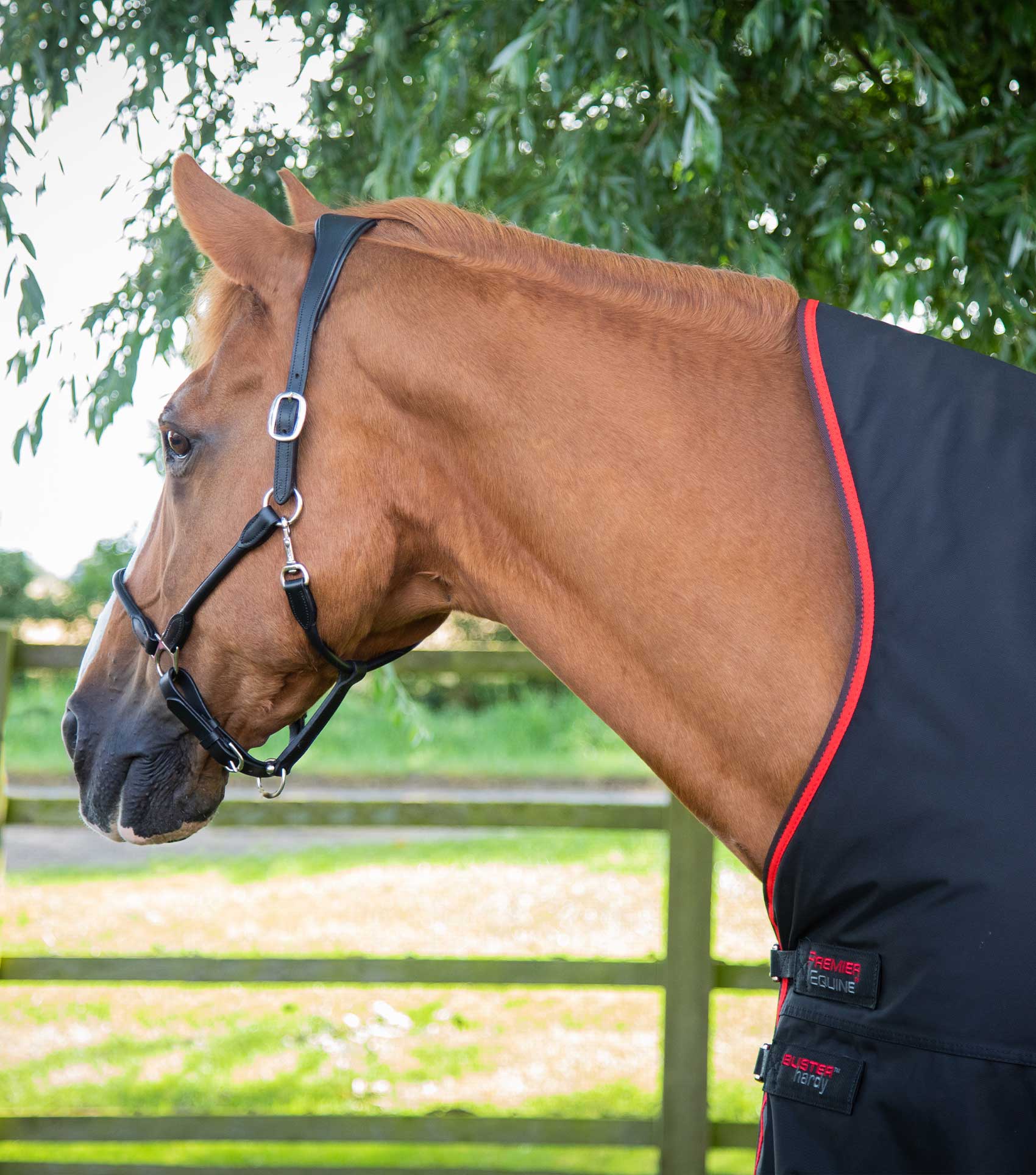 Premier Equine Buster Hardy 400g Half Neck Turnout Rug Black - N P Equestrian & Pet Supplies Ltd
