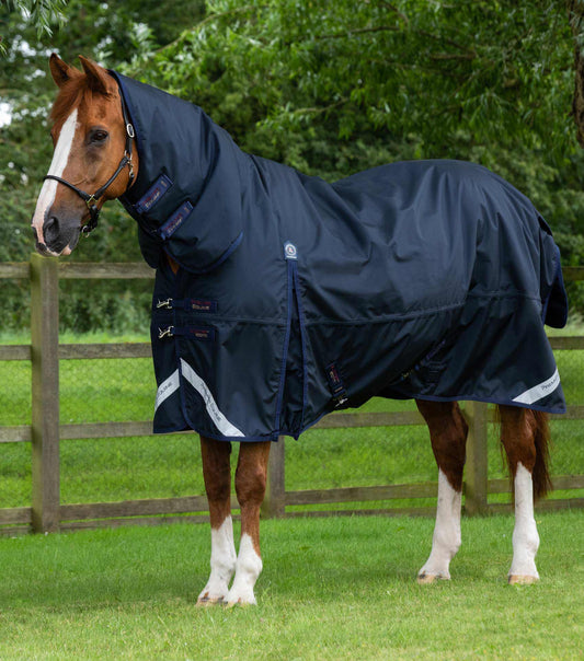 Horse wearing a navy blue medium weight turnout rug in a field of grass