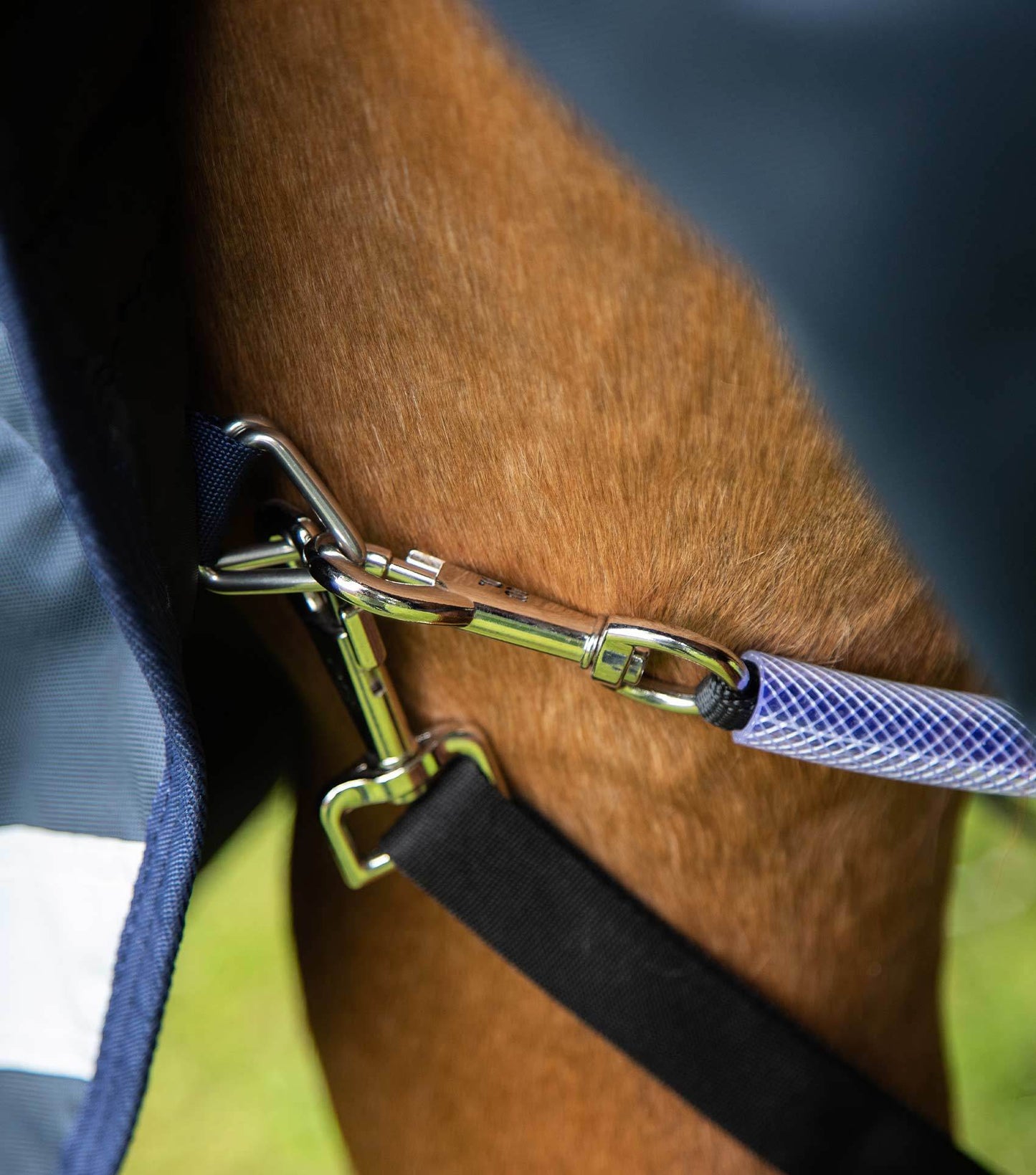 Premier Equine Buster Storm 220g Combo Turnout Rug with Classic Neck Navy - N P Equestrian & Pet Supplies Ltd 