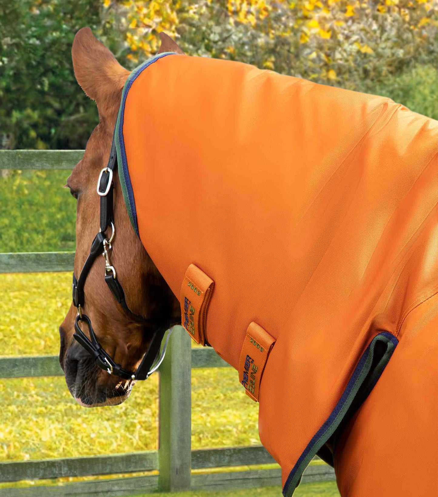 Premier Equine Buster Storm 400g Combo Turnout Rug with Classic Neck Burnt Orange - N P Equestrian & Pet Supplies Ltd