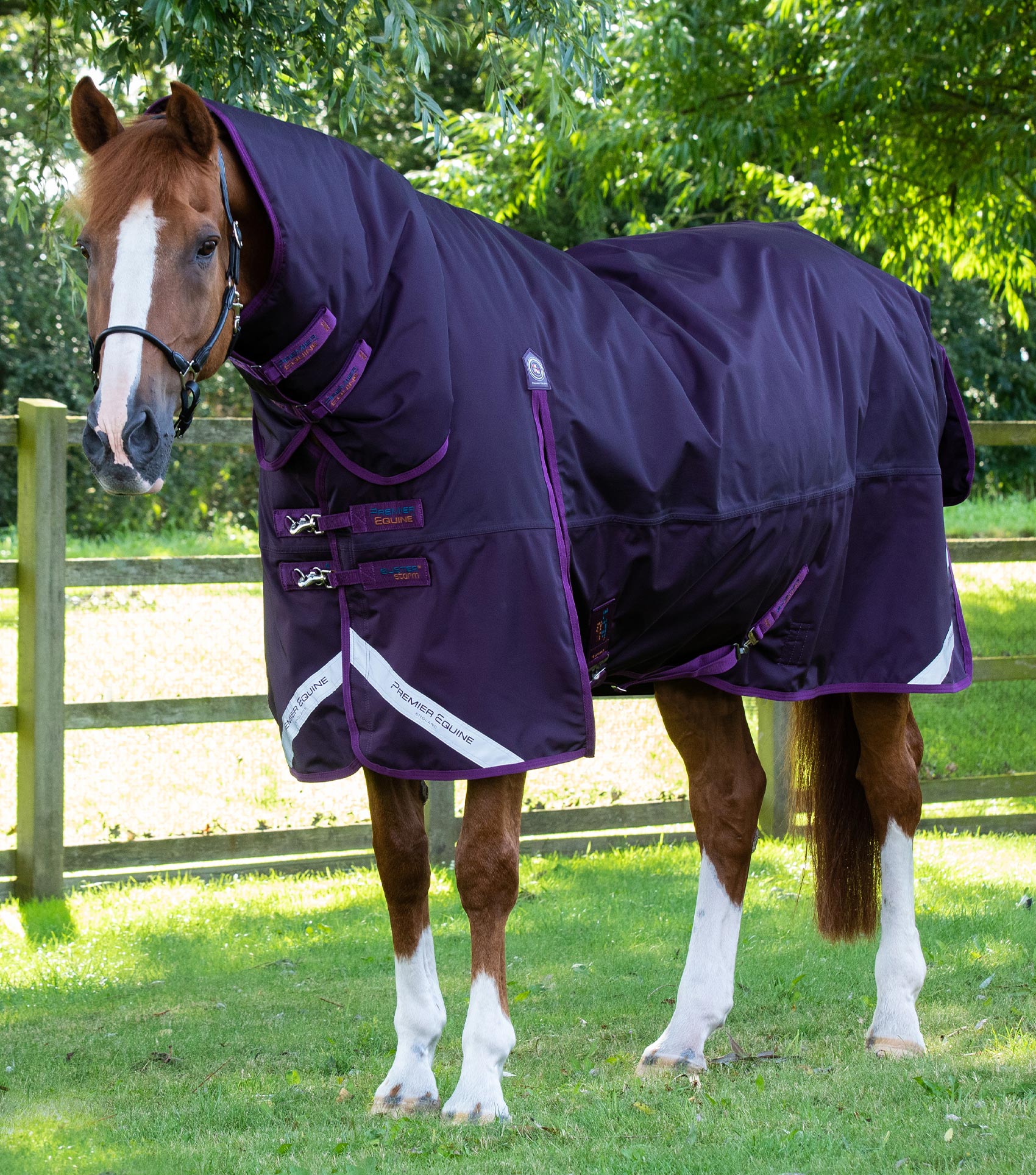 Premier Equine Buster Storm 420g Combo Turnout Rug with Classic Neck Purple - N P Equestrian & Pet Supplies Ltd