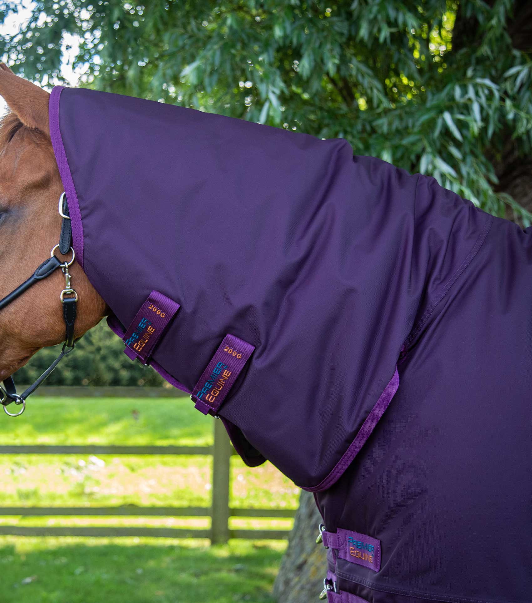 Premier Equine Buster Storm 420g Combo Turnout Rug with Classic Neck Purple - N P Equestrian & Pet Supplies Ltd