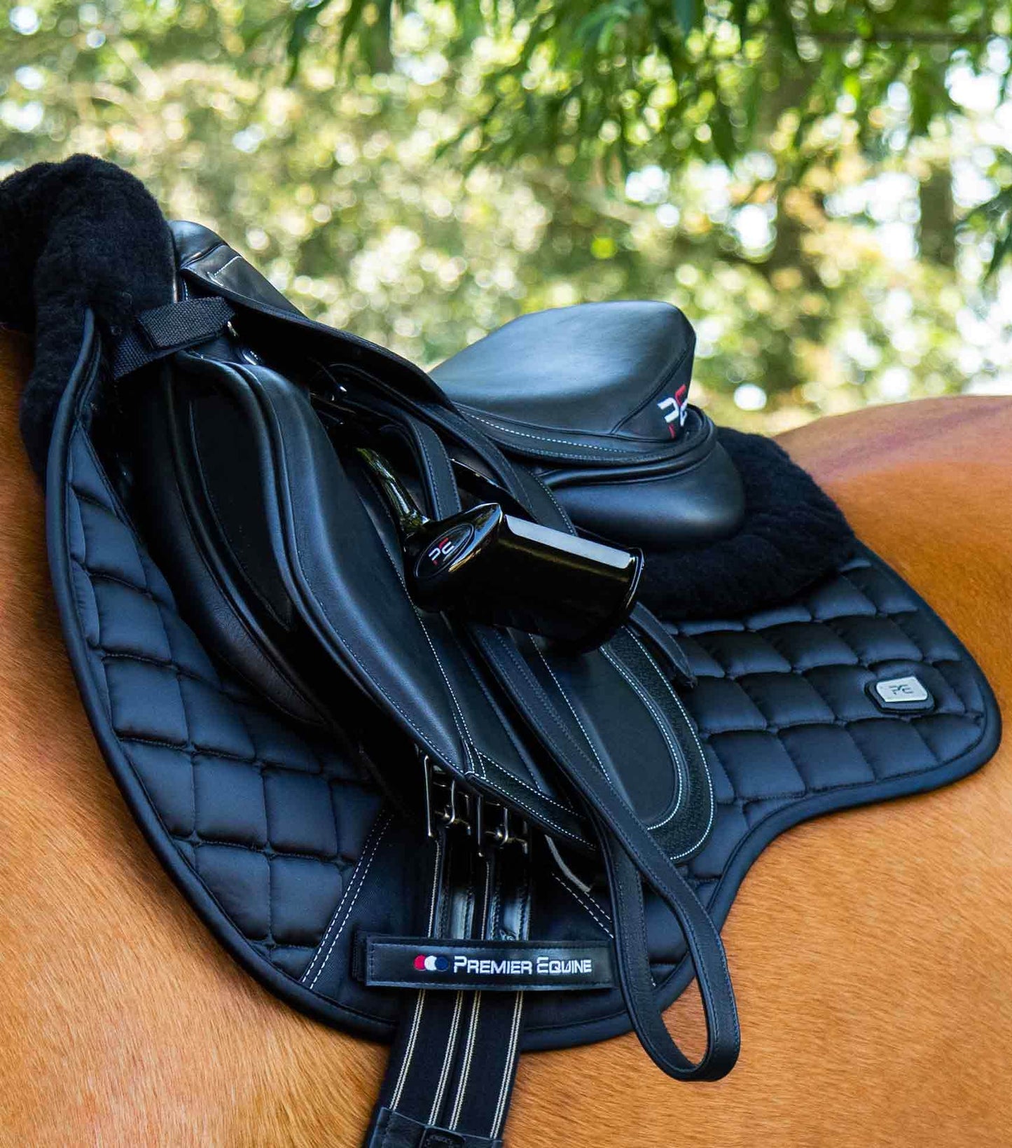 Premier Equine Capella Close Contact Merino Wool GP/Jump Square Black/Black Wool