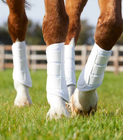 Premier Equine Carbon Air-Tech Single Locking Brushing Boots - N P Equestrian & Pet Supplies Ltd 