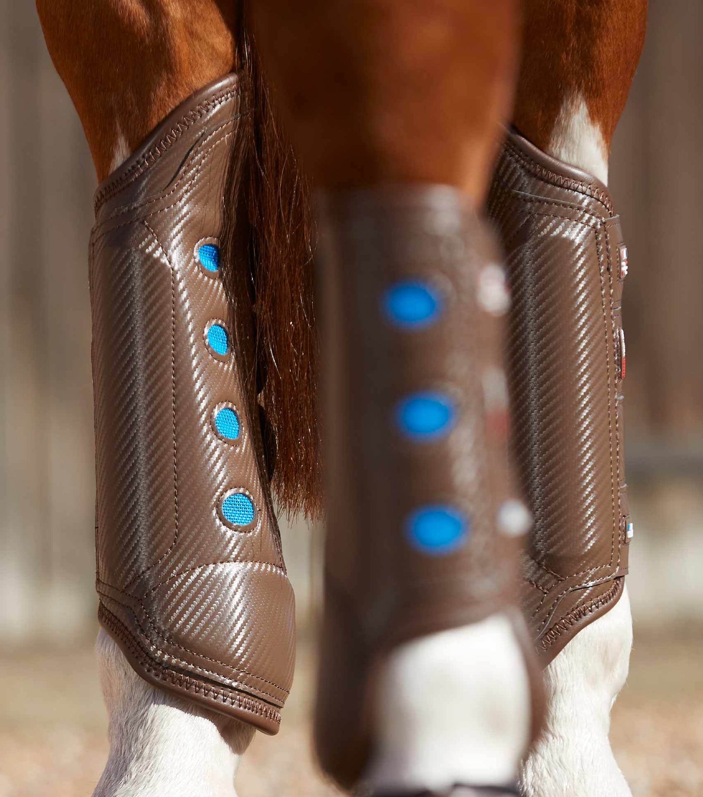 Premier Equine Carbon Tech Air Cooled Eventing Boots Hind - N P Equestrian & Pet Supplies Ltd 