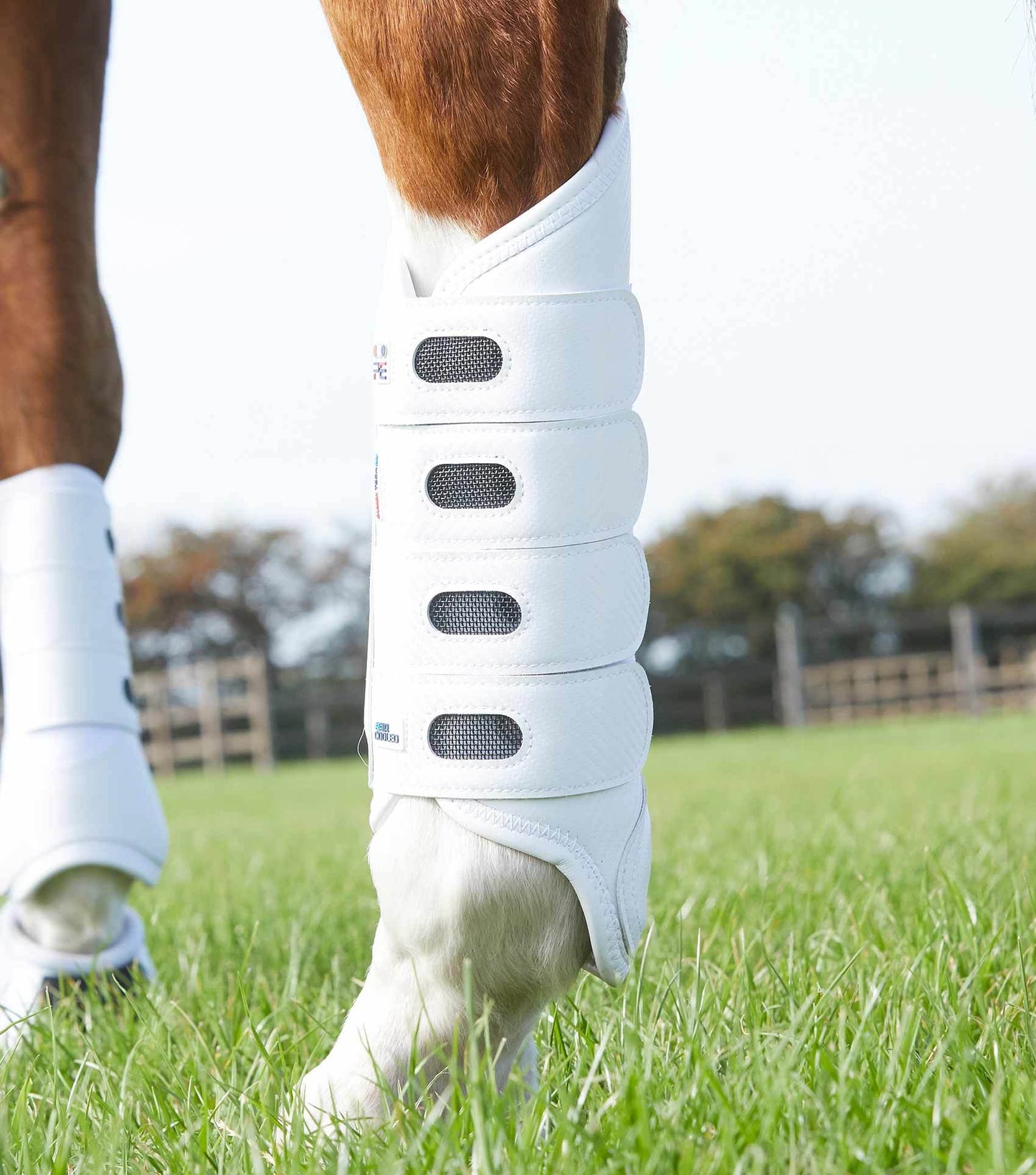 Premier Equine Carbon Tech Air Cooled Eventing Boots Hind - N P Equestrian & Pet Supplies Ltd 