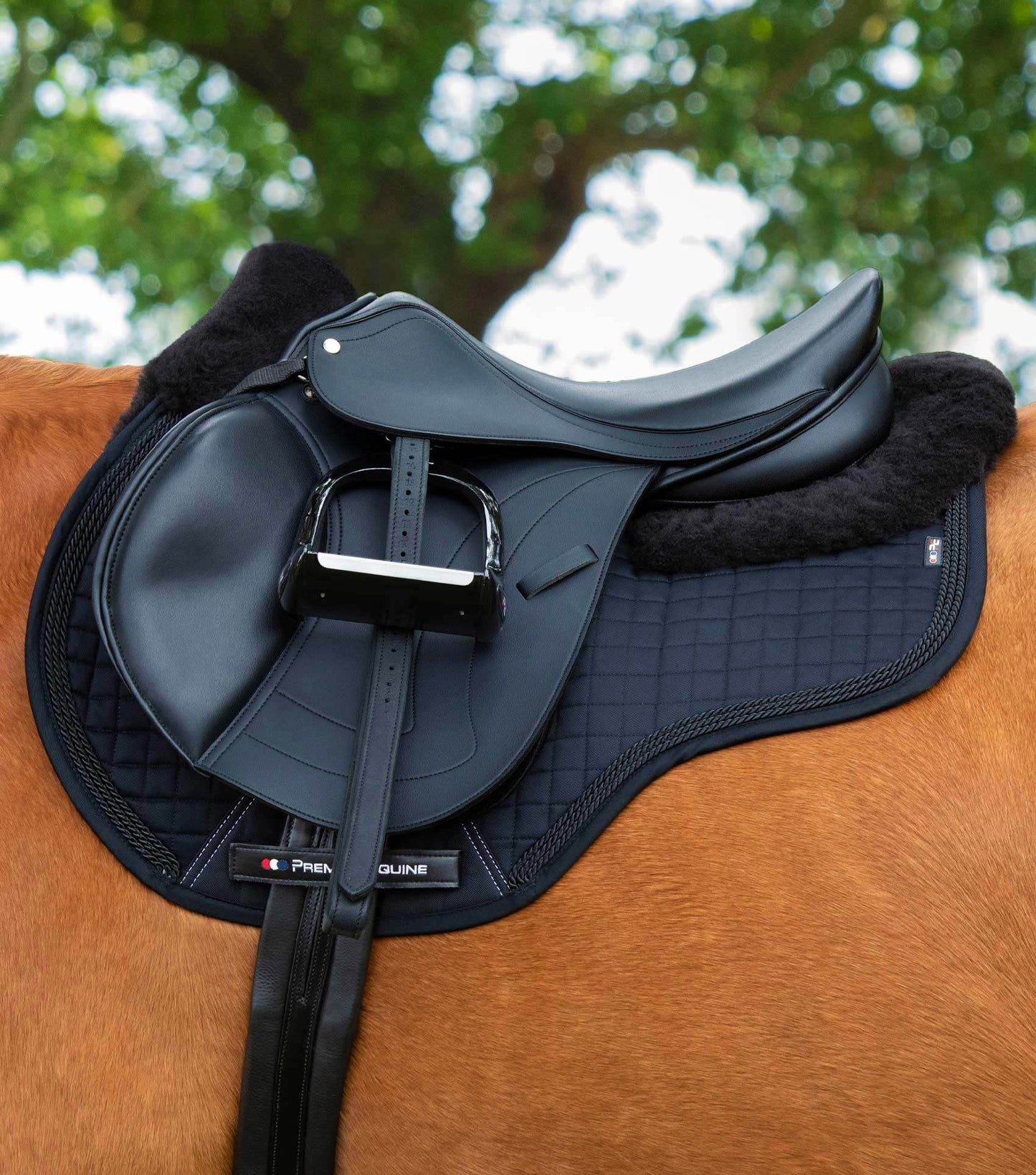 Premier Equine Close Contact Merino Wool European Saddle Pad - GP/Jump Square Black/Black Wool