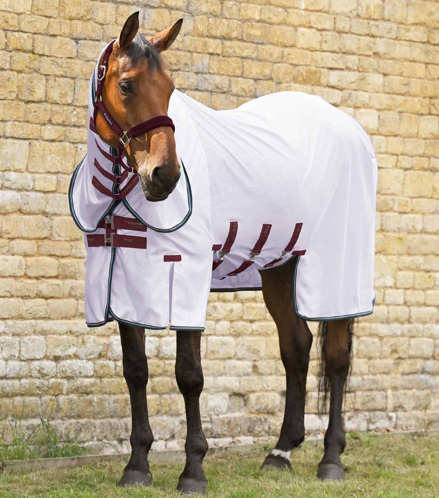 Premier Equine Combo Bug Buster Fly Rug with Belly Flap - Lavender