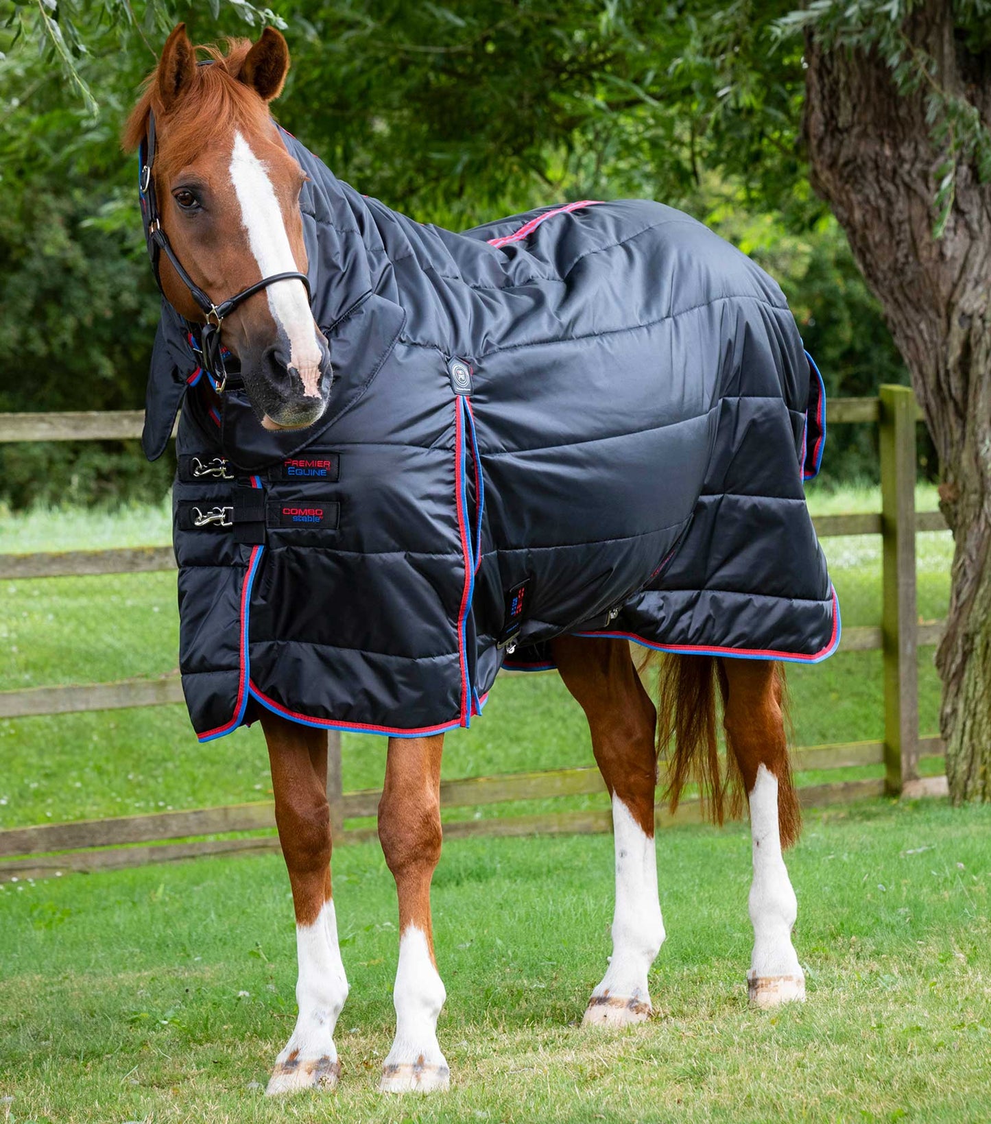 Premier Equine Combo Stable Rug 200g Black - N P Equestrian & Pet Supplies Ltd