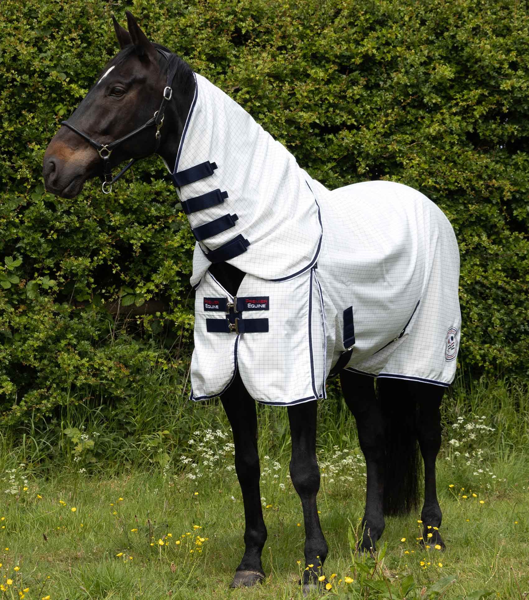 Premier Equine Cotone Combo Stable Sheet - N P Equestrian & Pet Supplies Ltd 