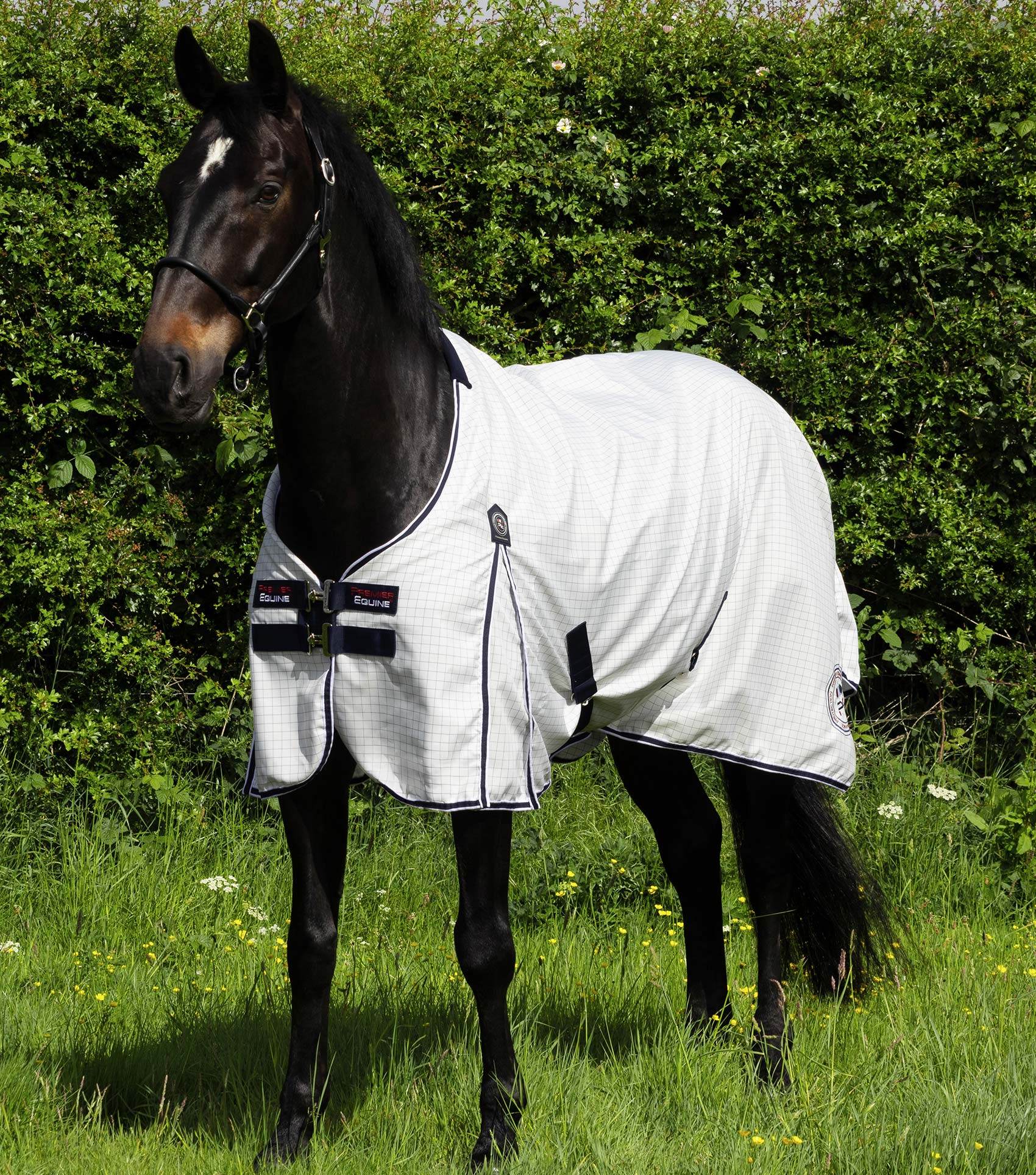 Premier Equine Cotone Original Stable Sheet - N P Equestrian & Pet Supplies Ltd 