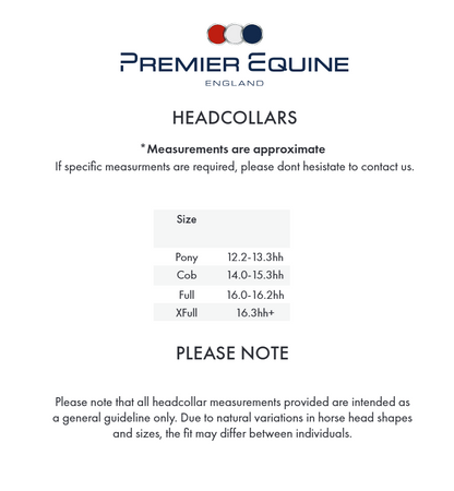 Premier Equine Rego Padded Leather Head Collar - Black