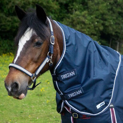 Gallop Trojan Duraproof 5-Point Lightweight Neck Cover - Navy