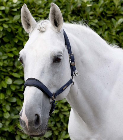 Premier Equine Duco Padded Head Collar with Lead Rope - Navy