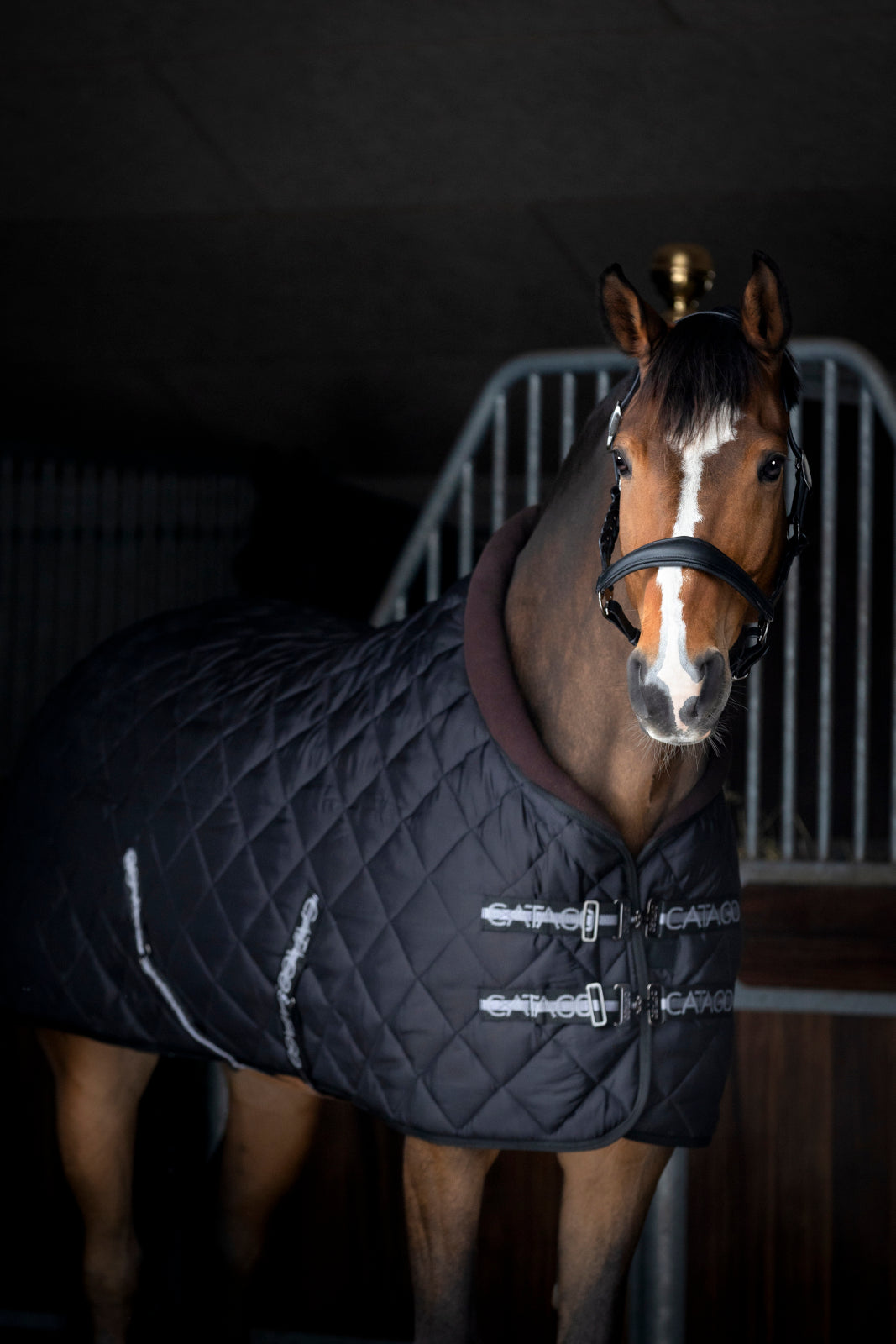 Catago Denver 500g Stable Rug - Black