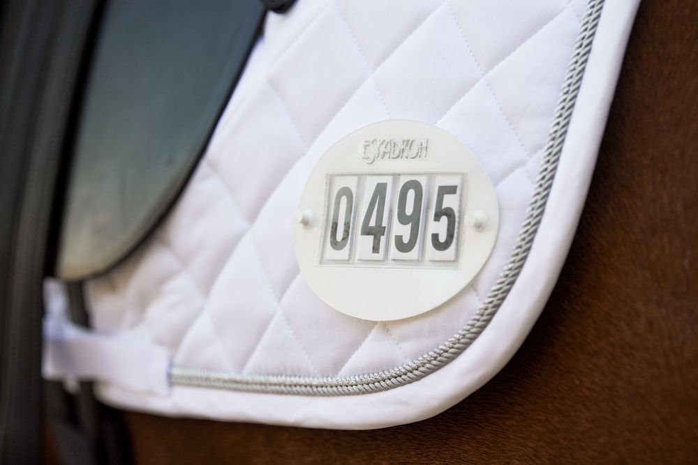 Eskadron Quick-Pin 4 Start Numbers - White