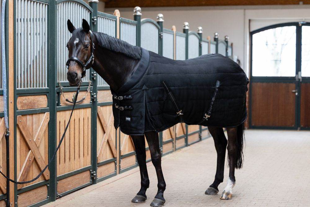 Eskadron SIGMA STABLE 100 Stable Rug - N P Equestrian & Pet Supplies Ltd 