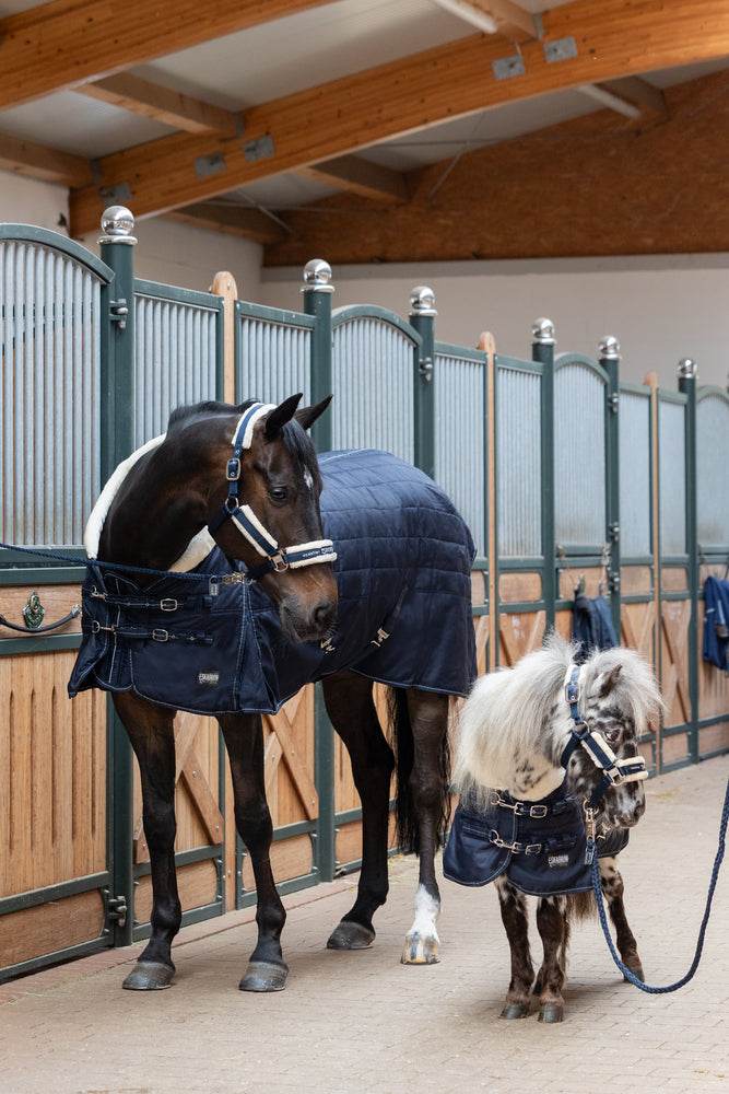 Eskadron ZETA 200 Stable Rug - N P Equestrian & Pet Supplies Ltd 