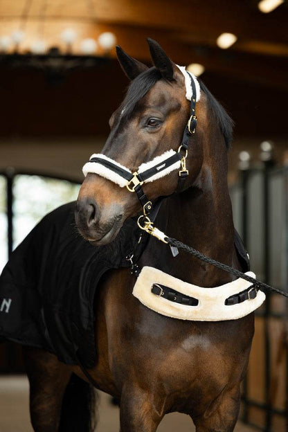 Eskadron DELTA II FLEECE + 50 g Walker Rug - N P Equestrian & Pet Supplies Ltd 