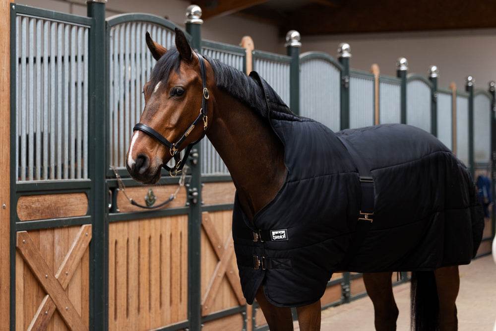Eskadron THERMO COTTON 240 Under Rug - N P Equestrian & Pet Supplies Ltd 