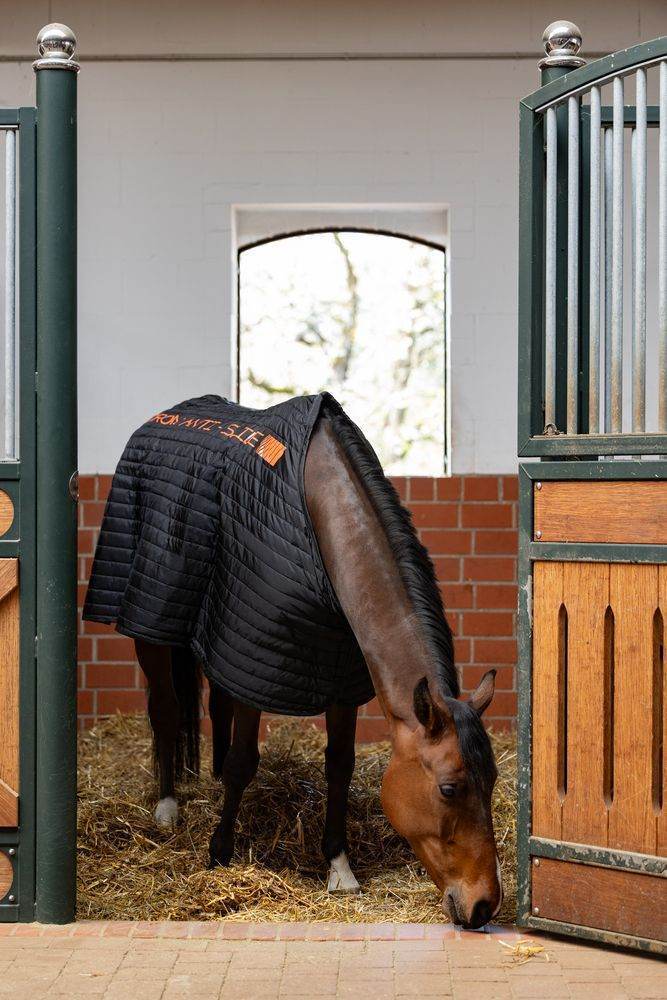 Eskadron ANTI SLIP 100 Under Rug - N P Equestrian & Pet Supplies Ltd 