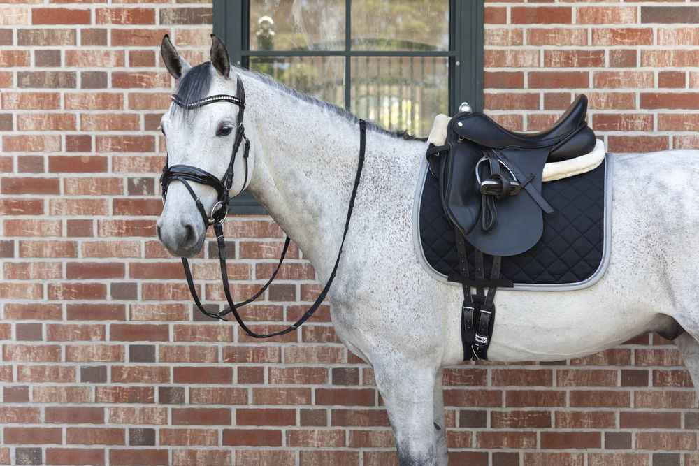 Eskadron MATRIX CONTRAST Saddle Cloth Black