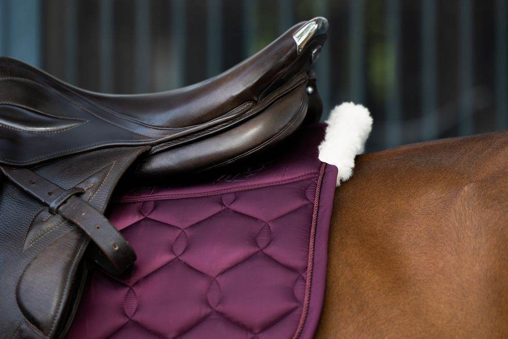 Eskadron GLOSSY EVO-WOOL DRESSAGE Saddle Cloth Blackberry - N P Equestrian & Pet Supplies Ltd 