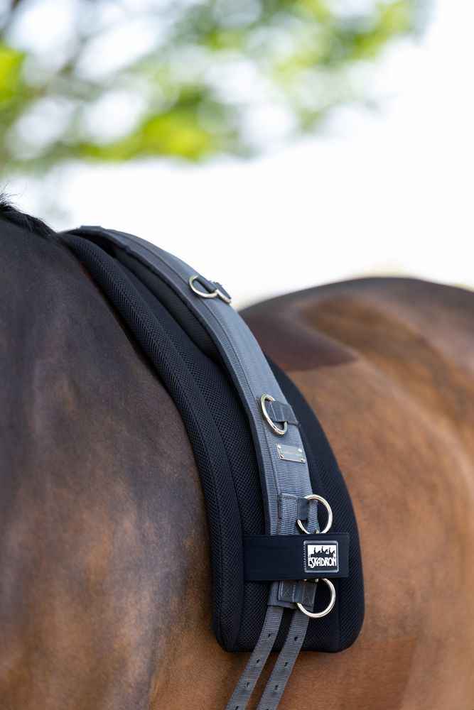 Eskadron PAD MESH Lunging pad
