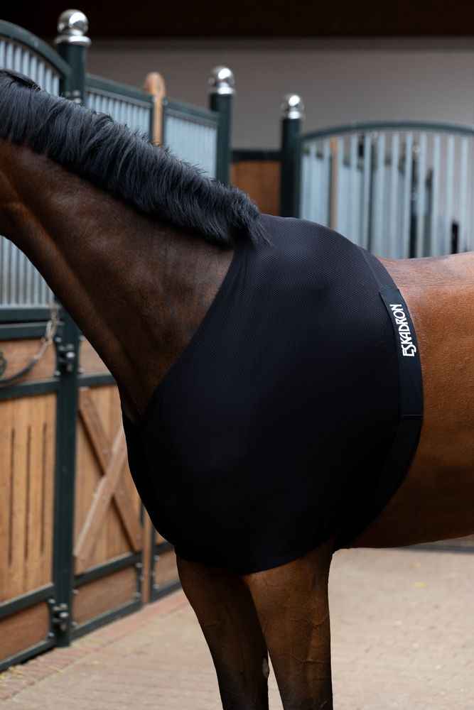 Eskadron DYNAIRMESH Chest Protector