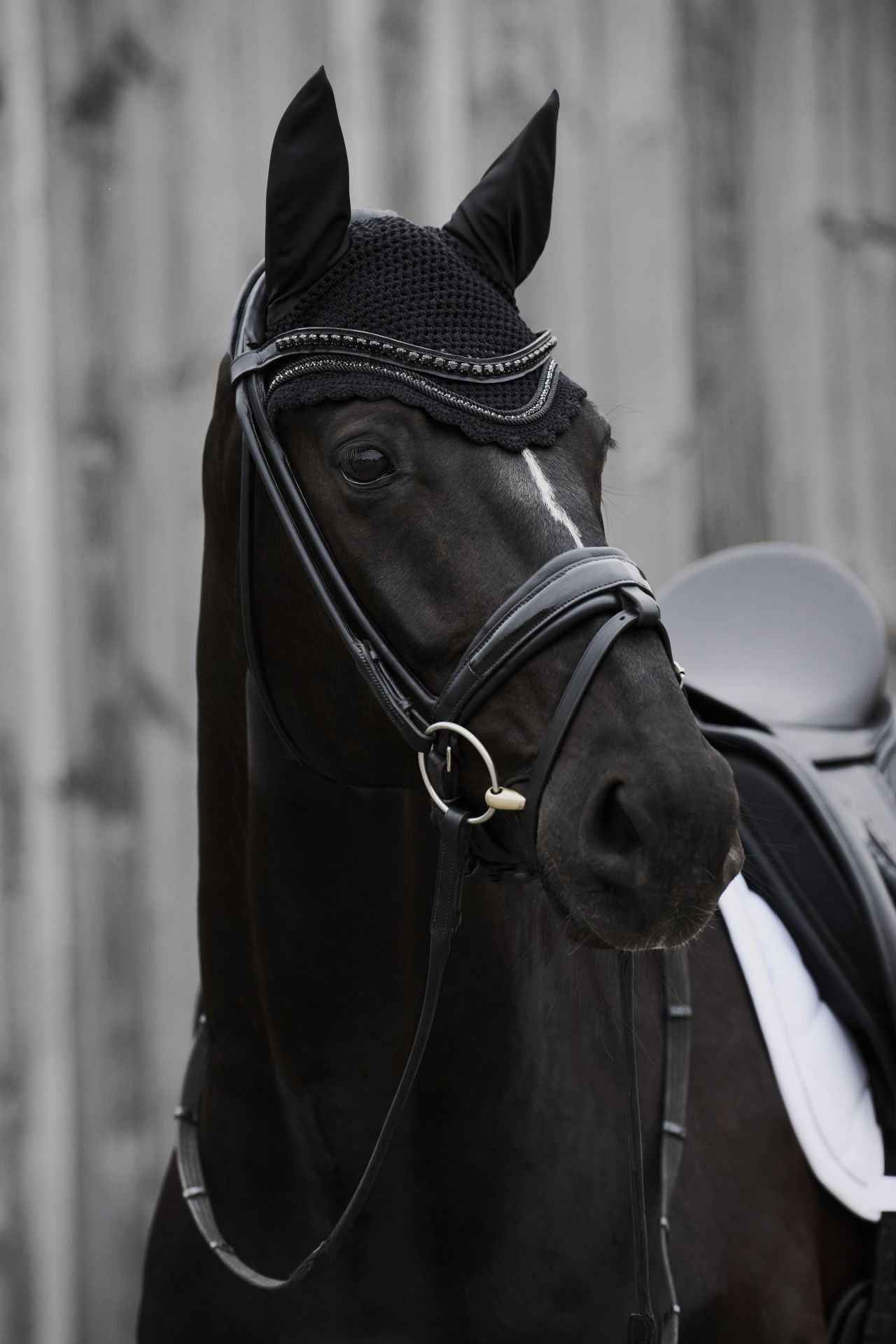 Eskadron CRYSTAL Fly Hood Black