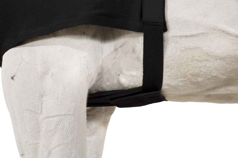 Eskadron DYNAIRMESH Chest Protector