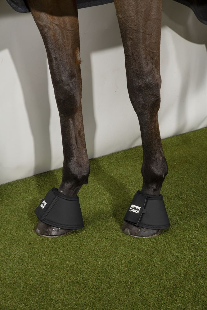 Eskadron All Round Overreach Boots - Black