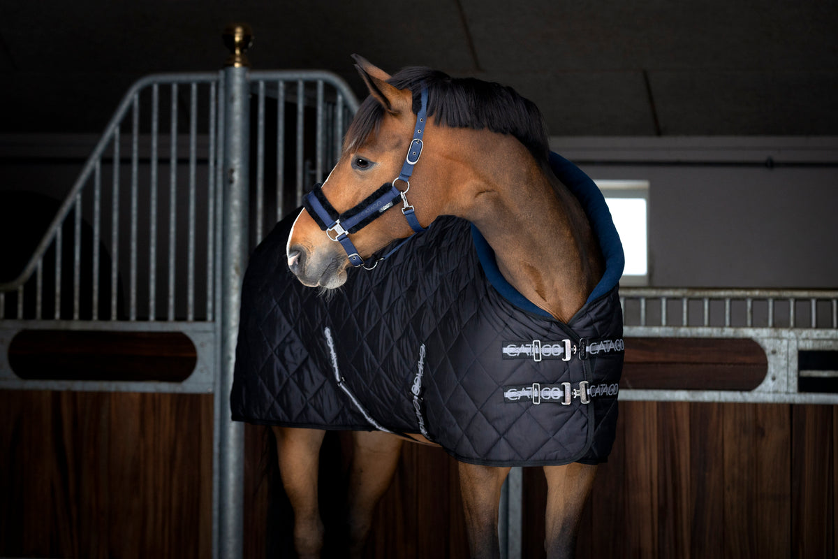 Catago Denver 300g Stable Rug - Black