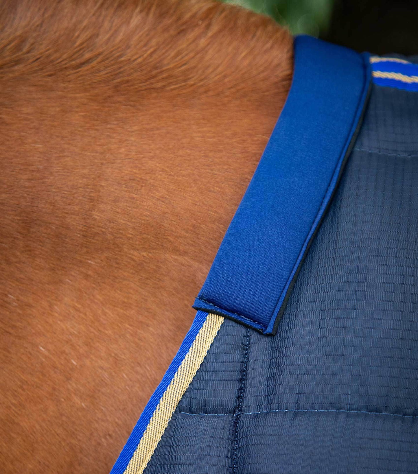 Premier Equine Garissa Stable Rug 400g Navy - N P Equestrian & Pet Supplies Ltd 