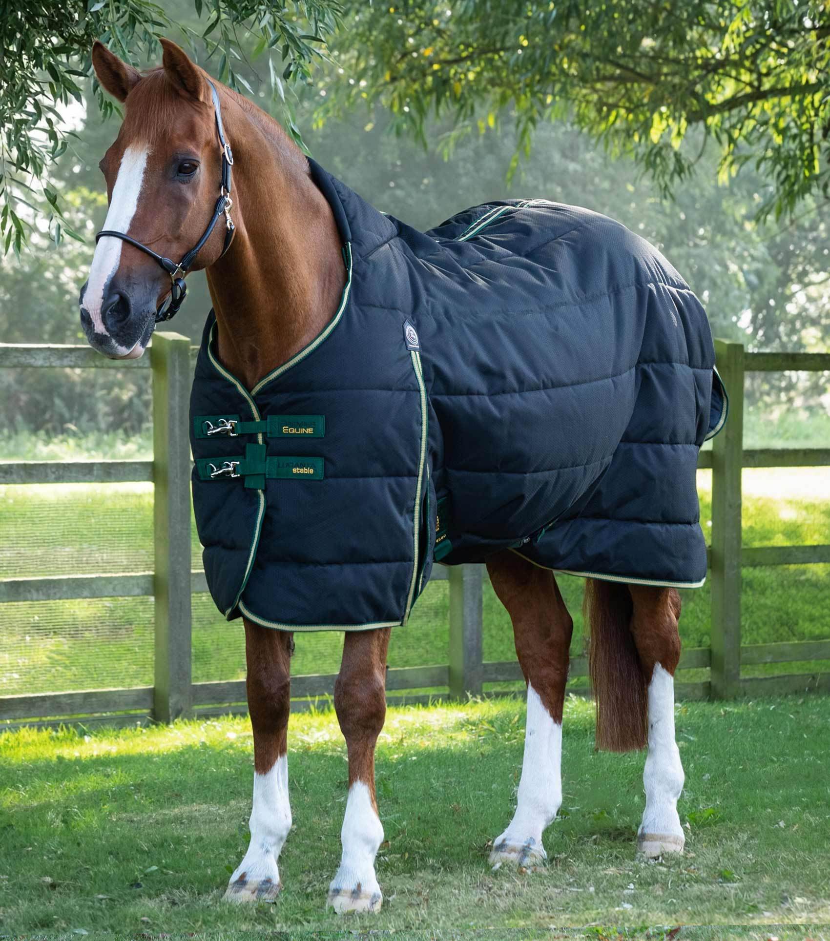 Premier Equine Lucanta Demi Stable 450g Black - N P Equestrian & Pet Supplies Ltd 
