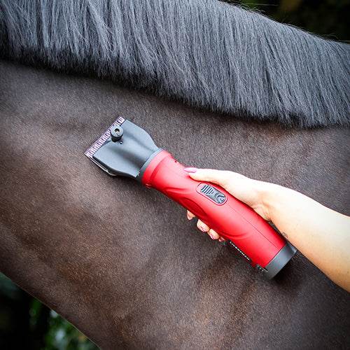 Liveryman Phoenix Clipper - N P Equestrian & Pet Supplies Ltd 