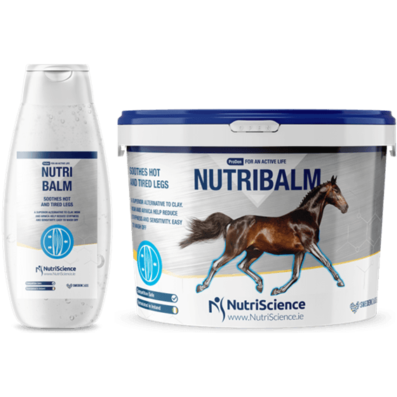 NutriScience NutriBalm - N P Equestrian & Pet Supplies Ltd 