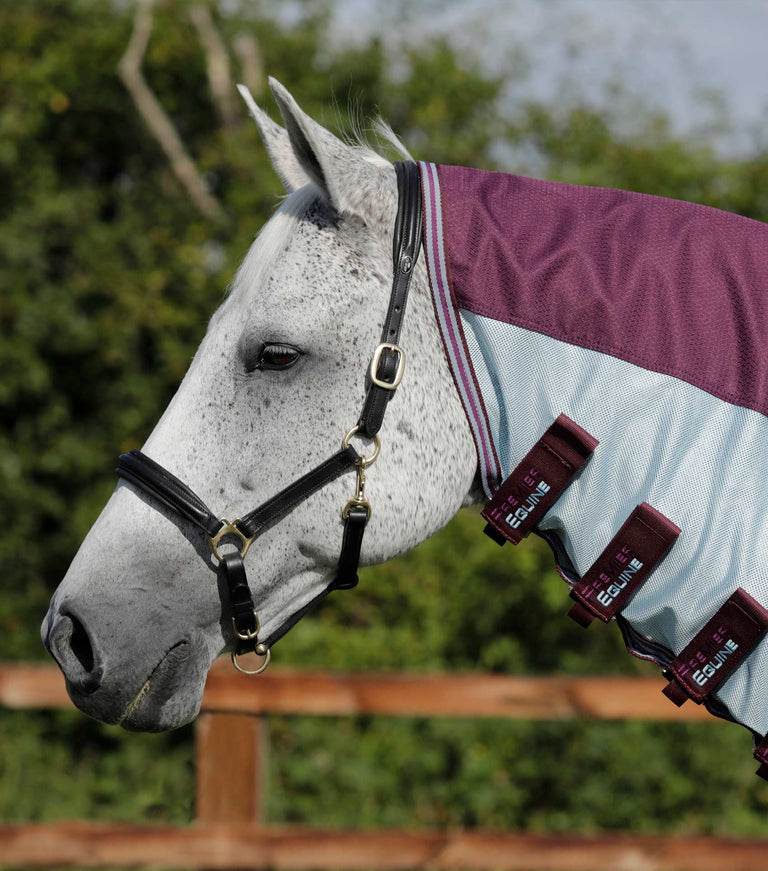 Premier Equine Stay-Dry Mesh Air Fly Rug with Surcingles - N P Equestrian & Pet Supplies Ltd 
